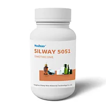 Dimethicone/Vinyl Dimethicone Crosspolymer